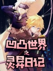 甸伊园入口无跳转